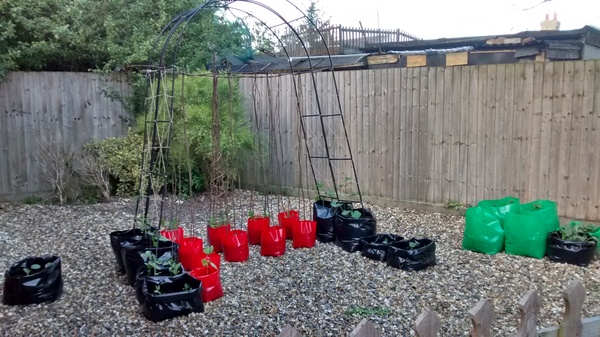 We may be rude, some call us crude, but noone can deny, when times get tough or you're feeling rough, on the Viroids you can rely.Among the laughs this bunch of dafts will pick you up each time -JS 48