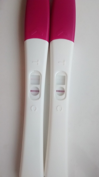 Fang-tastic fannies, Baywatch Blowjobs and good old british summer (arse) rain). It's JSing Grads 30!