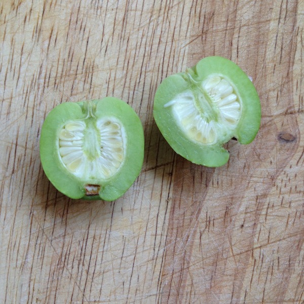 What is this plant/fruit?