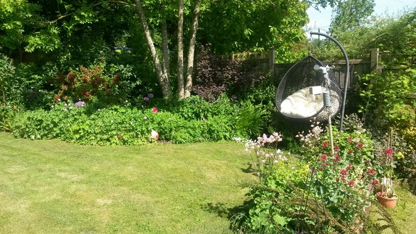 Rough winds do shake the darling buds of May: Alternative potting shed thread