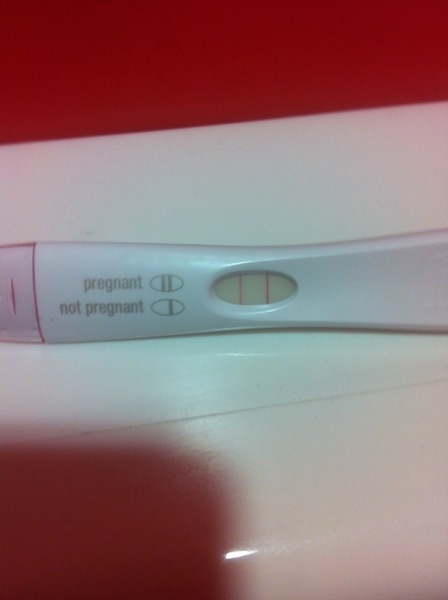 We may be rude, some call us crude, but noone can deny, when times get tough or you're feeling rough, on the Viroids you can rely.Among the laughs this bunch of dafts will pick you up each time -JS 48