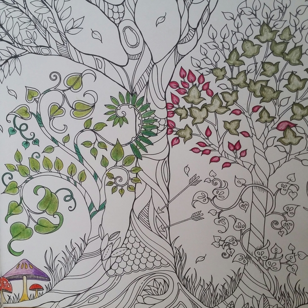 Adult colouring in books