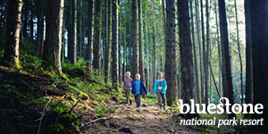 WIN 1 of 40 breaks at Bluestone National Park Resort!