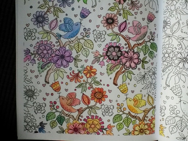 Adult colouring in books