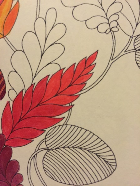 Adult colouring in books