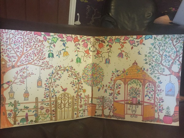 Adult colouring in books