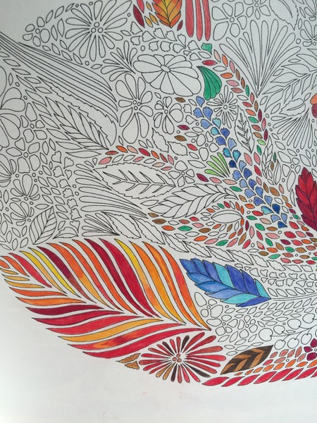 Adult colouring in books