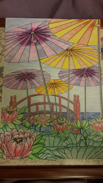 Adult colouring in books