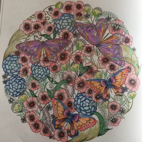 Adult colouring in books