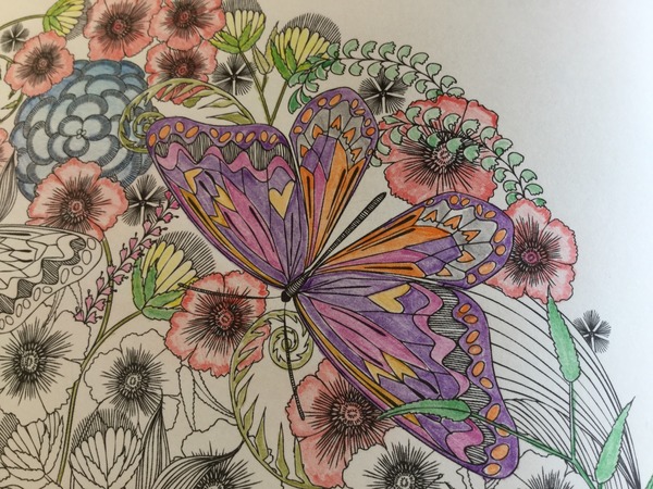 Adult colouring in books