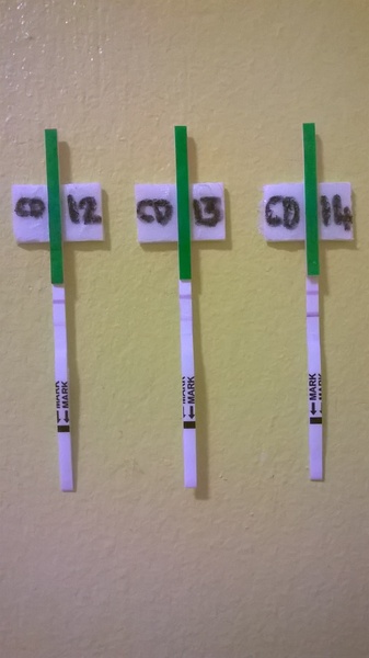 TTC after MC#6 - the lucky one for all of us!