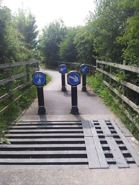 Cyclists  riding two or three abreast down country lanes.