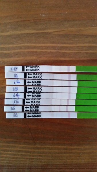 Bumsnet- you would be amazed at where we stick our thermometers to help us get our BFP's