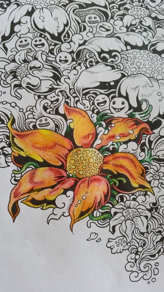 Adult colouring in books