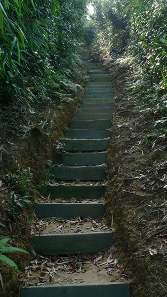 2015 Running Thread Part 6