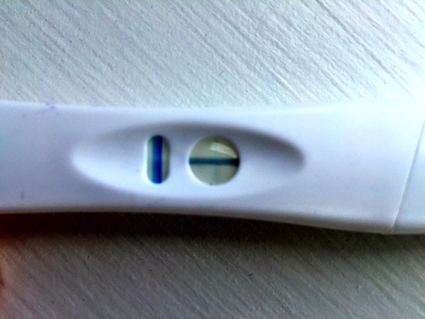 We may be rude, some call us crude, but noone can deny, when times get tough or you're feeling rough, on the Viroids you can rely.Among the laughs this bunch of dafts will pick you up each time -JS 48