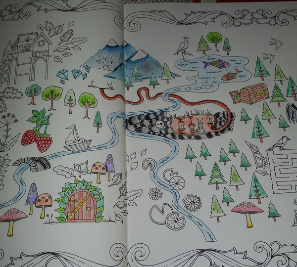 Adult colouring in books