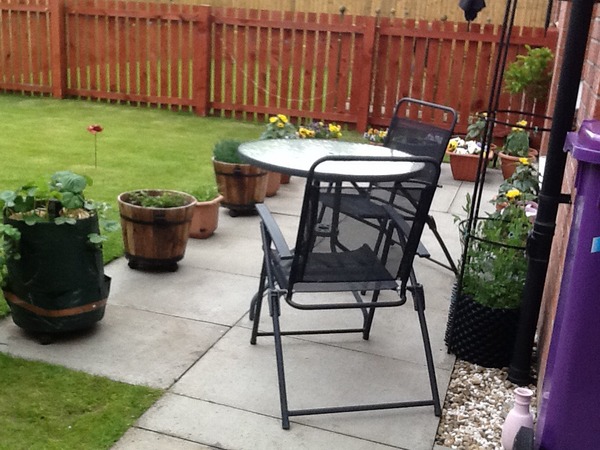 My small vegetable patch