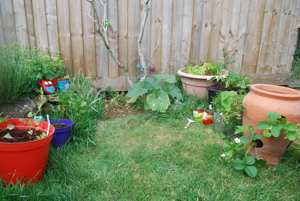 The 2015 Allotment / Veg Patch Thread Part 3 already!