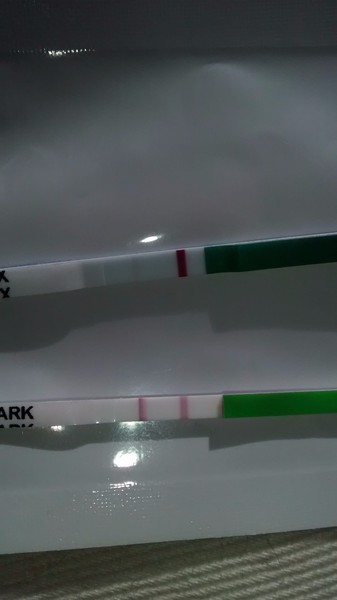 Anyone around 3dpo and settling in for the 2ww?