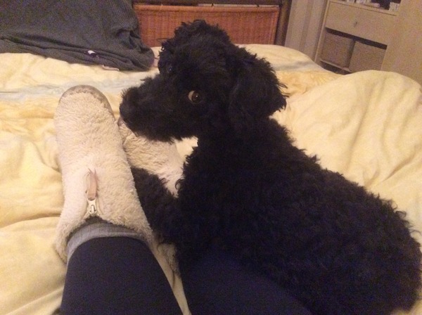 The Brave Babes Battle Bus - Shaping Up For A Super, Sober Summer!