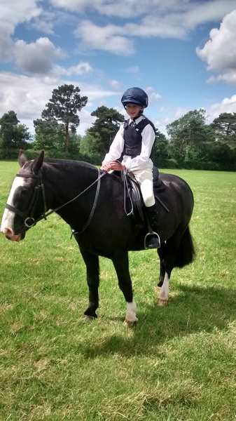 Meet Fred,Dd1's new pony.
