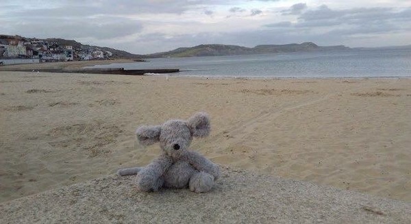 LOST teddy in Lyme Regis. Can anyone help?