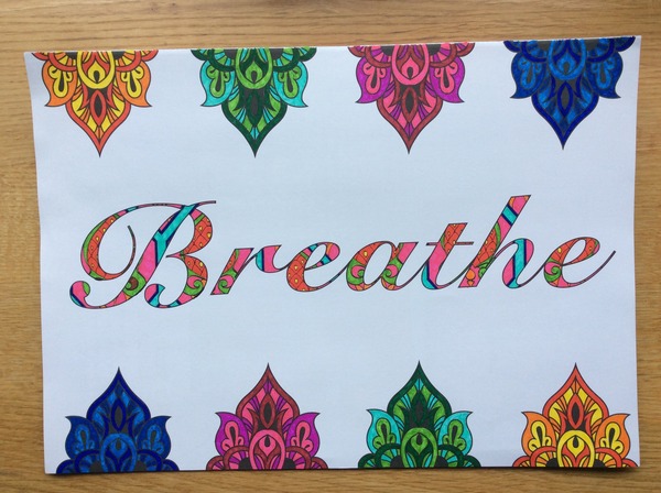 Adult colouring in books