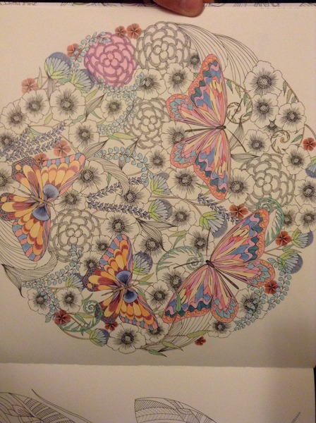 Adult colouring in books
