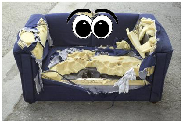 to 'feel sorry' for inanimate objects
