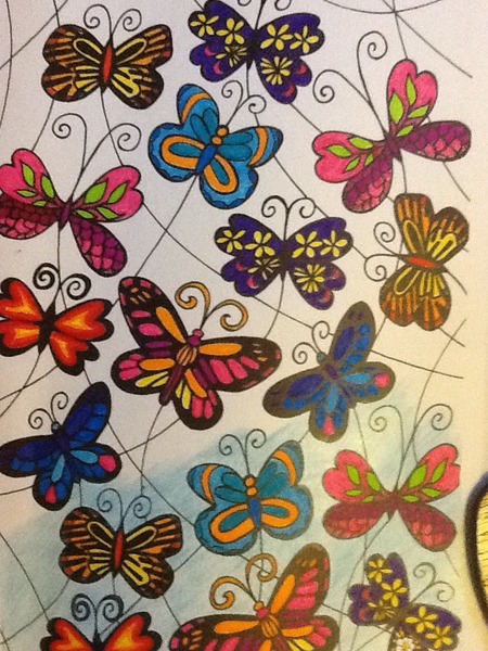 Adult colouring in books