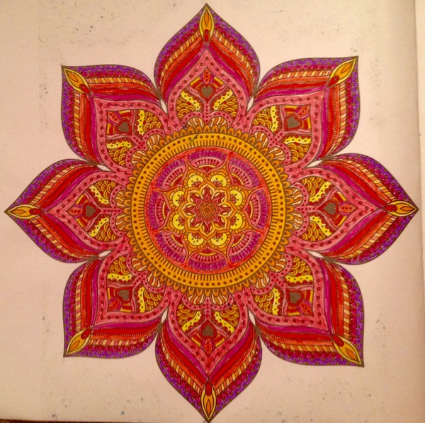 Adult colouring in books