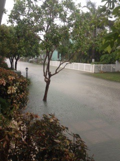 Week 4 - Low Carb Bootcamp - it's the first day of summer today!