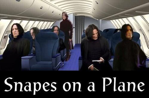 Snakes on a Plane - it makes NO sense