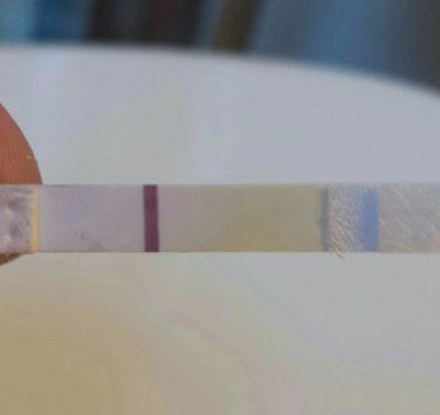 TTC following early miscarriage and Im lost. Please help?