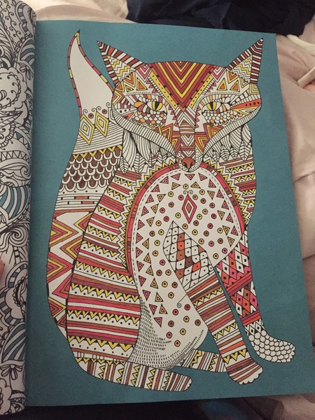 Adult colouring in books