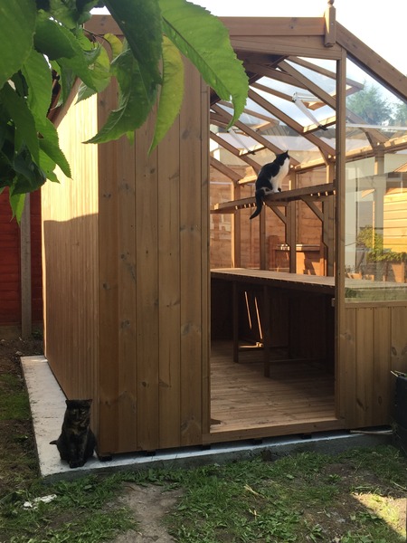 The 2015 Allotment / Veg Patch Thread Part 3 already!