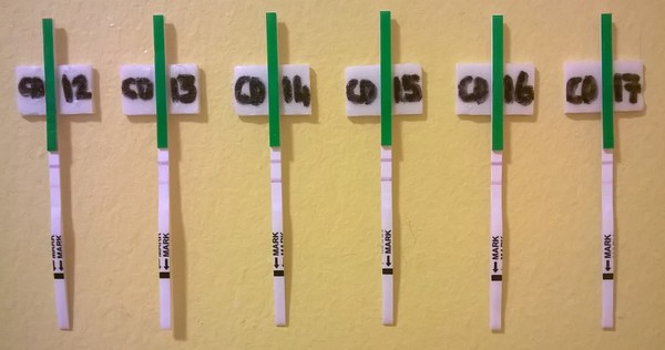 TTC after MC#6 - the lucky one for all of us!