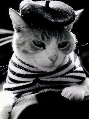 Sick of the Breton Top!