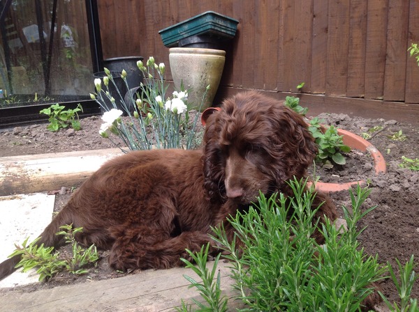 The Brave Babes Battle Bus - Shaping Up For A Super, Sober Summer!