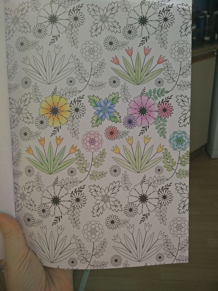 Adult colouring in books