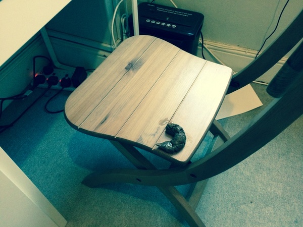 Reveal the most disgusting thing your child has ever done to win £100 Argos voucher and more!