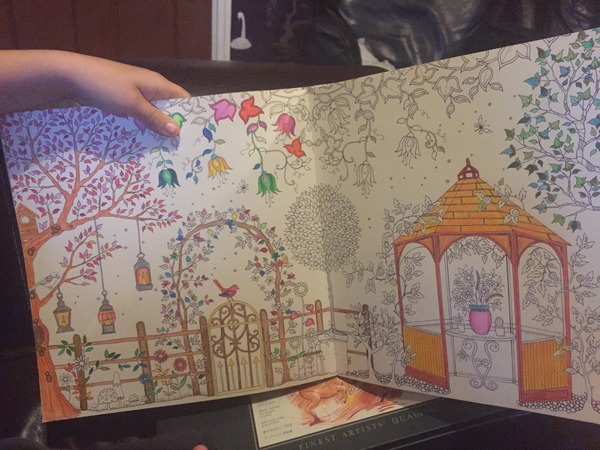Adult colouring in books