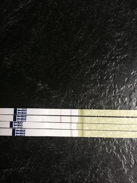 OV sticks & photo....help?