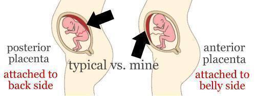 September crew - baby bumps are appearing and we're emerging as team blue, pink or yellow! Thread 8 :)