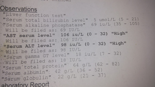 Liver enzymes high: ultrasound clear - what next?