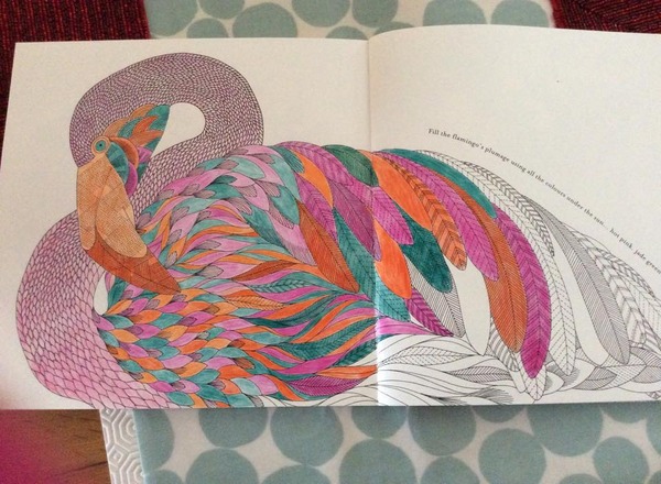 Adult colouring in books