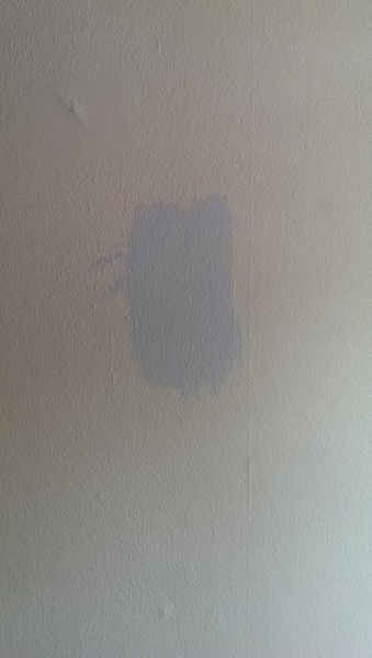 decorating on a non existant budget, is it ok to mix paint like this?