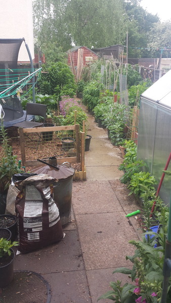 Support For Anyone That Has Lost A Parent