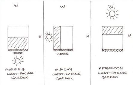 Mirrors to put more light into a shady corner? Or am I mad?